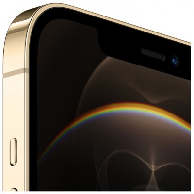 Apple iPhone 12 Pro Max 256GB купить