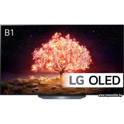 OLED телевизор LG OLED65B1RLA купить