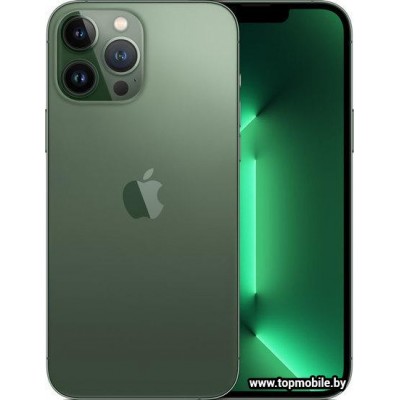 Apple iPhone 13 Pro Max 512GB купить