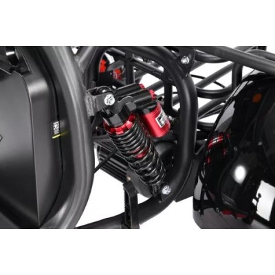 Электроскутер White Siberia CityCoco WS-Pro Trike 3000W 21Ah купить