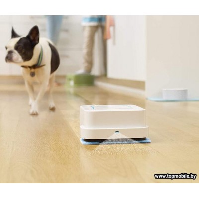 Робот-пылесос iRobot Braava Jet 250 купить