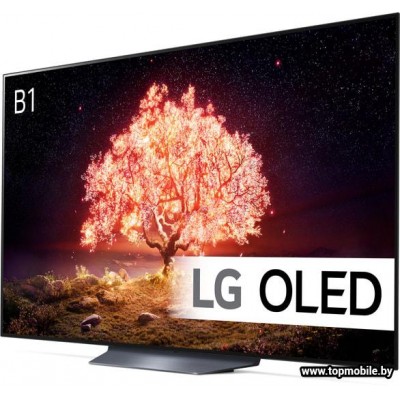 OLED телевизор LG OLED65B1RLA купить