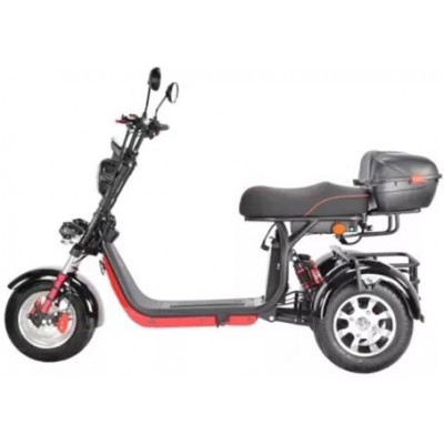 Электроскутер White Siberia CityCoco WS-Pro Trike 3000W 21Ah купить