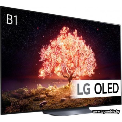 OLED телевизор LG OLED65B1RLA купить