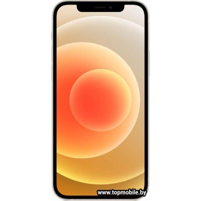 Apple iPhone 12 Dual SIM 128GB купить