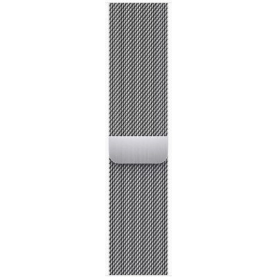 Apple Watch Series 9 LTE 45 мм (корпус из нержавеющей стали, серебристый/миланский серебристый) купить