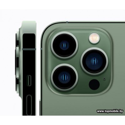 Apple iPhone 13 Pro 1TB купить