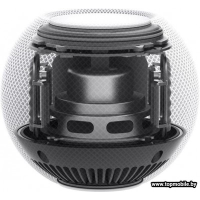 Умная колонка Apple HomePod Mini купить