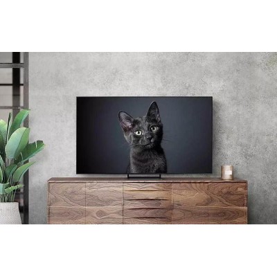 Телевизор Samsung OLED 4K S90C QE65S90CAUXRU купить