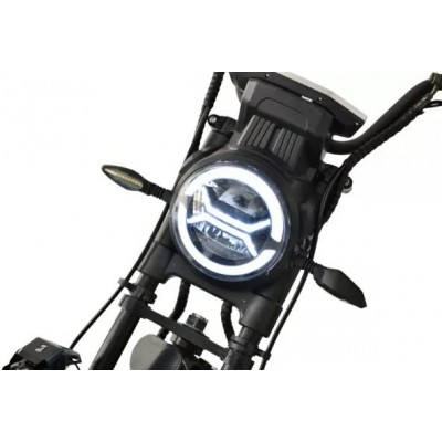 Электроскутер White Siberia CityCoco WS-Pro Trike 3000W 21Ah купить