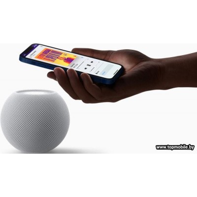 Умная колонка Apple HomePod Mini купить