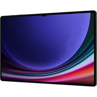 Планшет Samsung Galaxy Tab S9 Ultra 5G SM-X916 12GB/256GB купить Планшет Samsung Galaxy Tab S9 Ultra 5G SM-X916 12GB/256GB купить