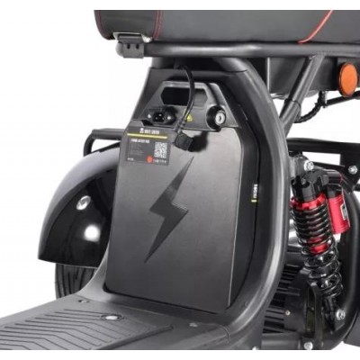 Электроскутер White Siberia CityCoco WS-Pro Trike 3000W 21Ah купить