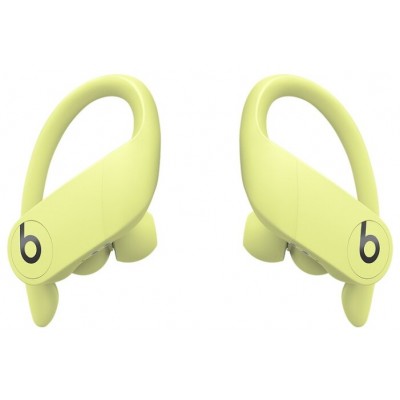 Наушники Beats Powerbeats Pro купить Наушники Beats Powerbeats Pro купить