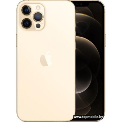 Apple iPhone 12 Pro Max Dual SIM 128GB купить