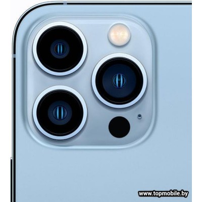 Apple iPhone 13 Pro Max 256GB купить