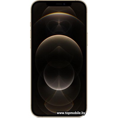 Apple iPhone 12 Pro Max Dual SIM 512GB купить