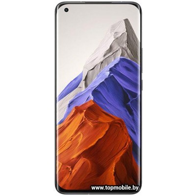 Xiaomi Mi 11 Pro 12GB/256GB купить