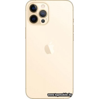 Apple iPhone 12 Pro Max Dual SIM 512GB купить