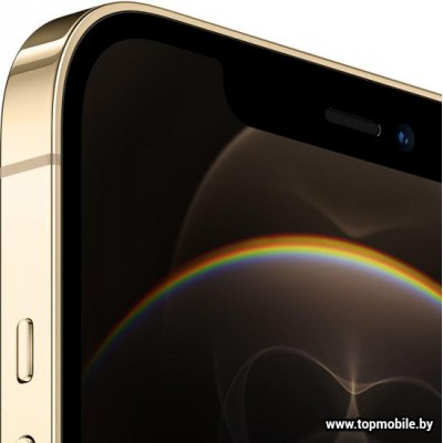 Apple iPhone 12 Pro Max Dual SIM 128GB купить