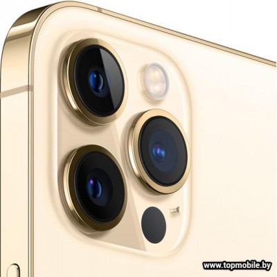 Apple iPhone 12 Pro Max Dual SIM 512GB купить