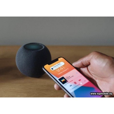 Умная колонка Apple HomePod Mini купить