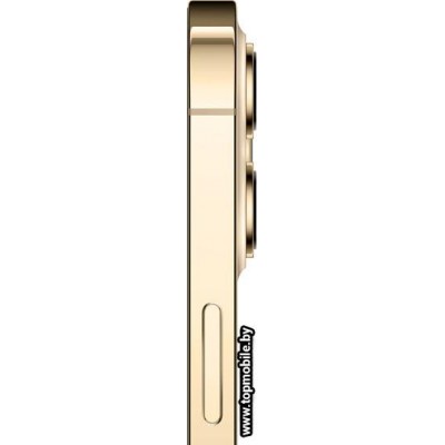 Apple iPhone 12 Pro Max Dual SIM 256GB купить