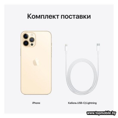 Apple iPhone 12 Pro Max Dual SIM 256GB купить