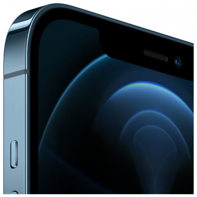 Apple iPhone 12 Pro Max 256GB купить