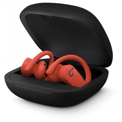 Наушники Beats Powerbeats Pro купить Наушники Beats Powerbeats Pro купить