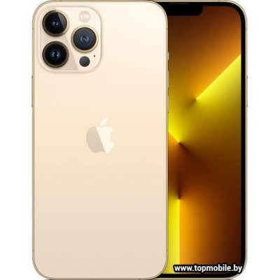 Apple iPhone 13 Pro Max 1TB купить
