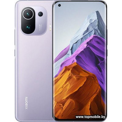 Xiaomi Mi 11 Pro 8GB/256GB купить