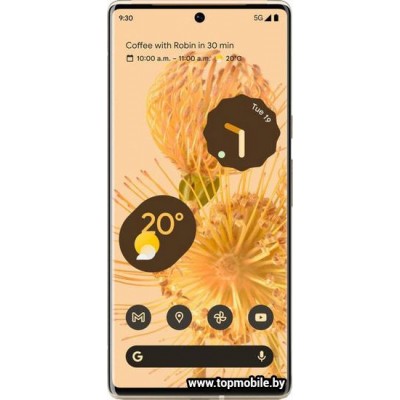Купить телефон Google Pixel 6 Pro 12GB/512GB купить