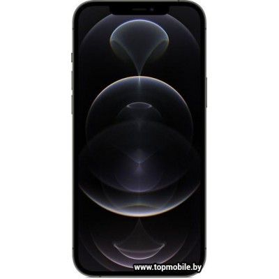 Apple iPhone 12 Pro Max Dual SIM 128GB купить