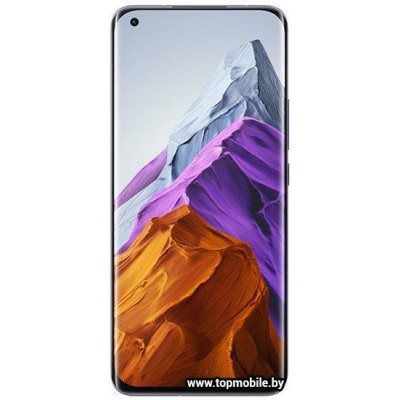 Xiaomi Mi 11 Pro 12GB/256GB купить