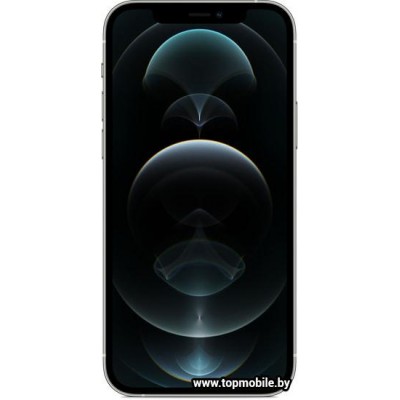 Apple iPhone 12 Pro Dual SIM 256GB купить