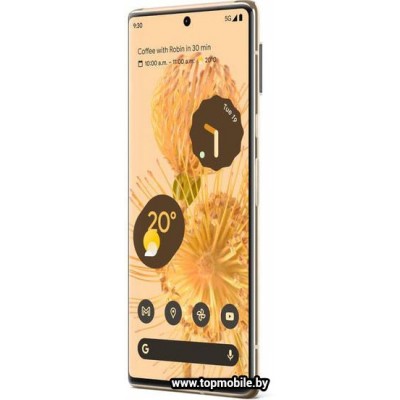 Купить телефон Google Pixel 6 Pro 12GB/512GB купить