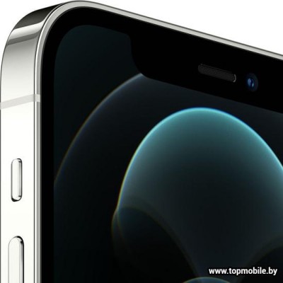 Apple iPhone 12 Pro Dual SIM 256GB купить