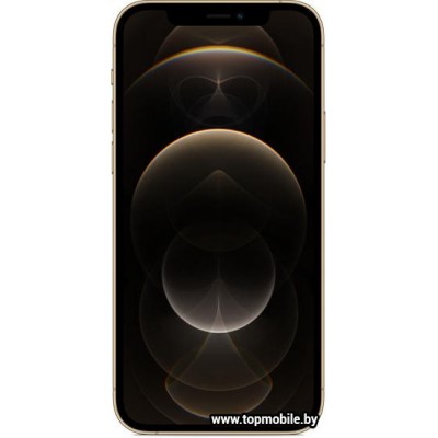 Apple iPhone 12 Pro Dual SIM 256GB купить