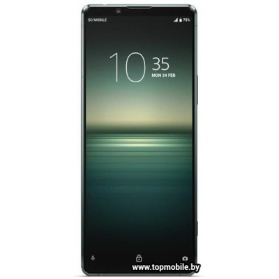Sony Xperia 1 II 12GB/256GB купить