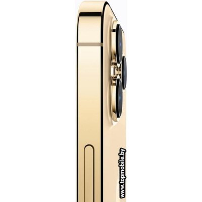 Apple iPhone 13 Pro 1TB купить