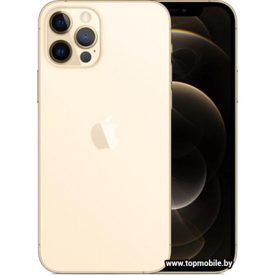 Apple iPhone 12 Pro Dual SIM 512GB купить