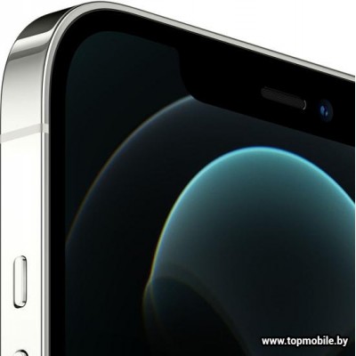 Apple iPhone 12 Pro Max Dual SIM 128GB купить