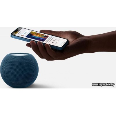 Умная колонка Apple HomePod Mini купить