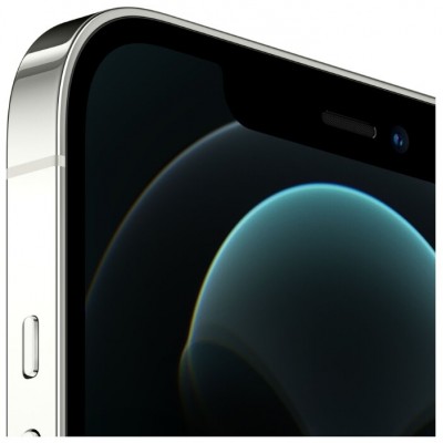 Apple iPhone 12 Pro Max 256GB купить
