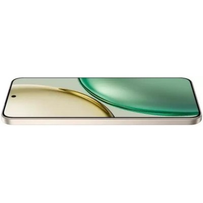 HONOR X9d 12GB/256GB купить