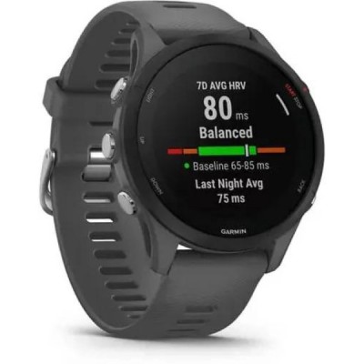 Умные часы Garmin Forerunner 255 46 мм купить Умные часы Garmin Forerunner 255 46 мм купить