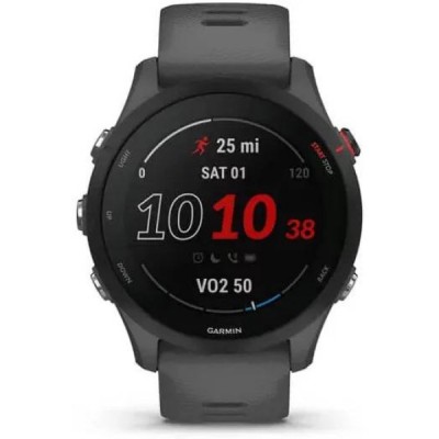 Умные часы Garmin Forerunner 255 46 мм купить Умные часы Garmin Forerunner 255 46 мм купить